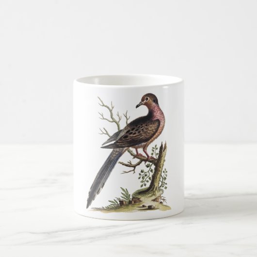 Mug Vintage Passenger Pigeon Illustration (Centre)