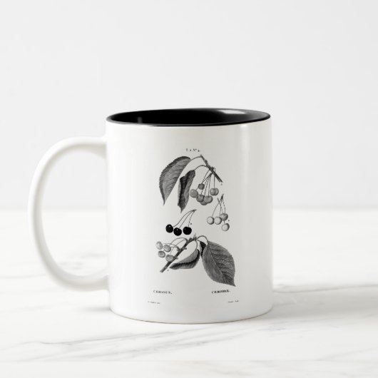 MUG vintage REDOUTÉ "CHERRIES" (Gauche)