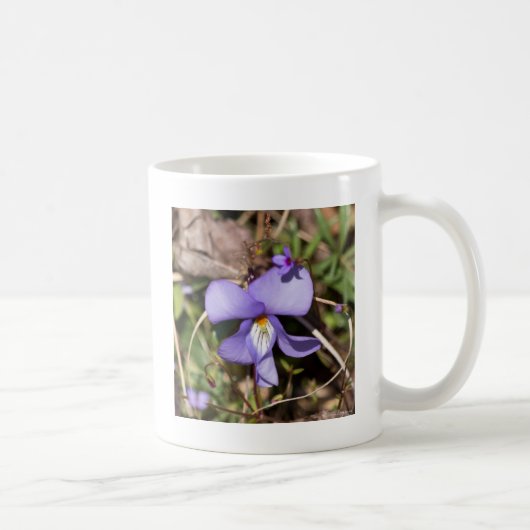 Mug Violette à pieds d'oiseau avec bluets (Droite)