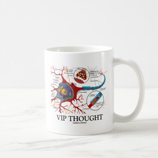 Mug VIP pensé (humour de neurone/synapse) (Droite)
