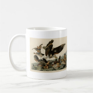 Mug Virginian Partridge, Audubon's Birds of America