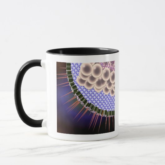 Mug Virus du herpès (Gauche)