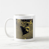 Mug Visage de ~ de raton laveur d'un ange (Gauche)