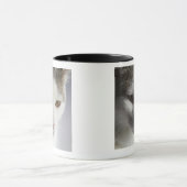 Mug Visage d'un chat (Centre)