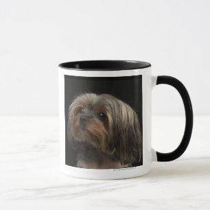 Mug Visage yorking triste regardant vers la gauche