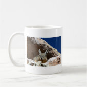 Mug Viscacha bronzer dans le désert d'Atacama Chili (Gauche)