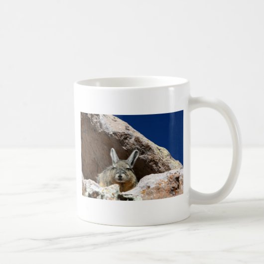 Mug Viscacha bronzer dans le désert d'Atacama Chili (Droite)