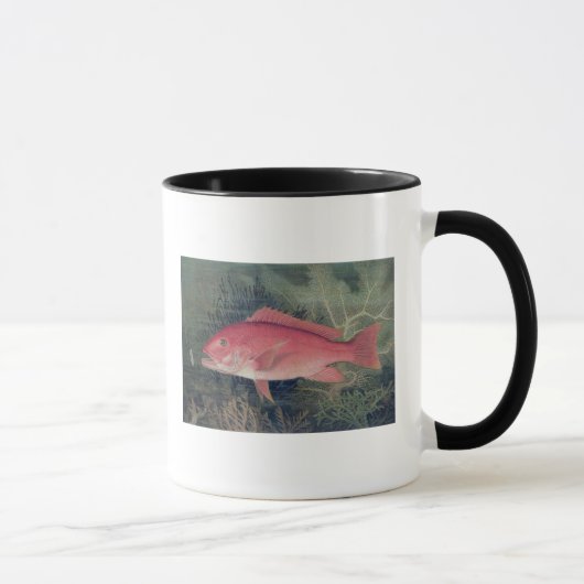 Mug Vivaneau, des 'poissons de jeu de l'état uni (Droite)