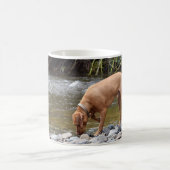 Mug Vizsla par la rivière (Centre)