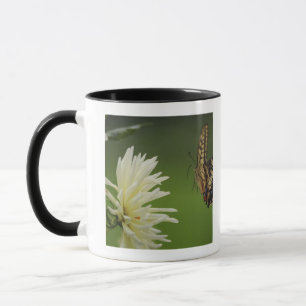 Mug Vol de machaon de Vieux Monde