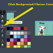 Mug Votre chien Photo personnalisée Couleur mignonne C