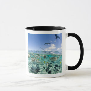 Mug voyage safari dans un lagon avec des raies