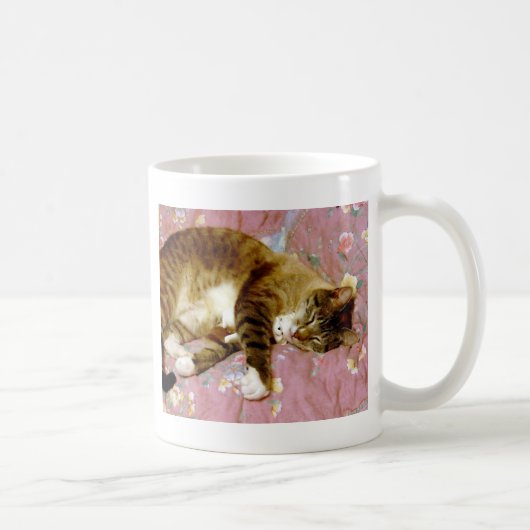 Mug Vrai chat, faux chat (Droite)