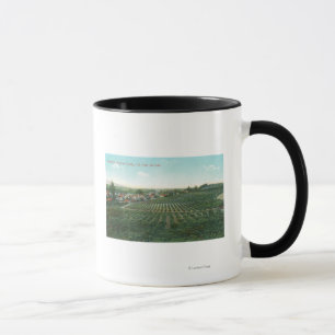 Mug Vue aérienne de la ville, comté de Sonoma depuis l