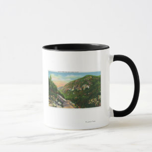 Mug Vue aérienne des au sol de crique de poissons,
