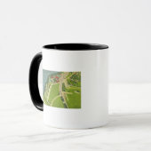 Mug Vue aérienne du parc Roseland (Devant gauche)