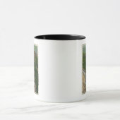 Mug Vue aérienne du sentier Winial, Château, Sommet (Centre)