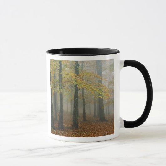 Mug Vue d'automne sur la forêt de brouillard, Grand-pè (Droite)