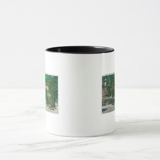 Mug Vue de Capitola StepsCapitola, CA (Centre)