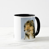 Mug Vue de chien de berger de Shetland (Devant droit)