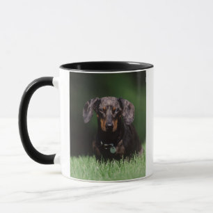 Mug Vue de Dachshund couleur panaché