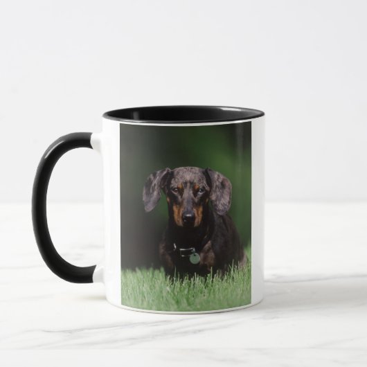 Mug Vue de Dachshund couleur panaché (Gauche)
