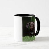 Mug Vue de Dachshund couleur panaché (Devant droit)