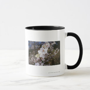 Mug Vue de Fisheye de papillon sur la fleur