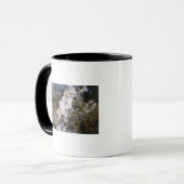 Mug Vue de Fisheye de papillon sur la fleur (Devant gauche)
