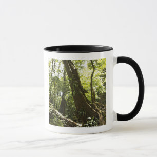 Mug vue de forêt tropicale, Dominique