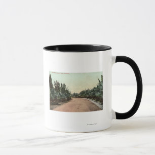 Mug Vue de la commande de paume