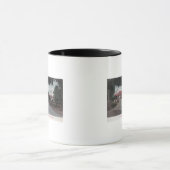 Mug Vue de la passerelle principale vers le parc Idora (Centre)