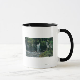 Mug Vue de Mossbrae FallsShasta Springs, CA