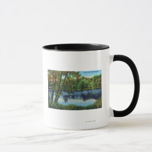 Mug Vue de parc d'Edgewood de l'étang de canard
