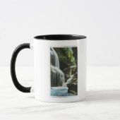 Mug Vue de Rainbow Falls (Gauche)