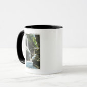 Mug Vue de Rainbow Falls (Devant gauche)