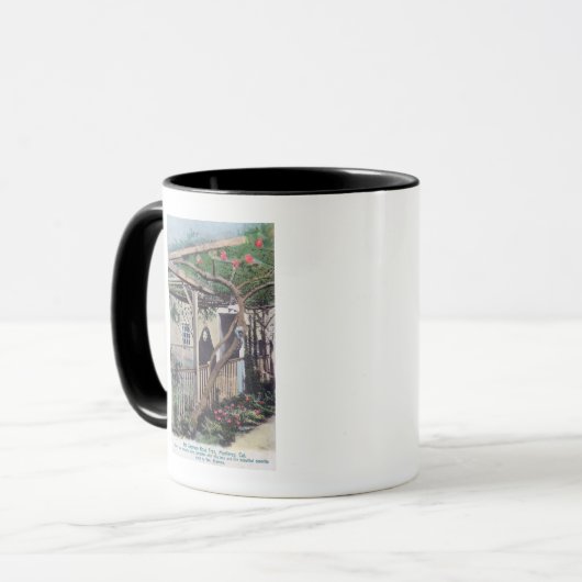 Mug Vue de Sherman Rose TreeMonterey, CA (Devant gauche)
