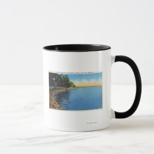 Mug Vue de Shoreline de pavillon de parc de lac seneca