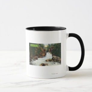Mug Vue des automnes de canyon de Lynn