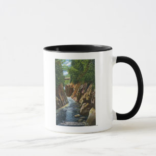 Mug Vue des automnes et du pont de rivière d'Ausable