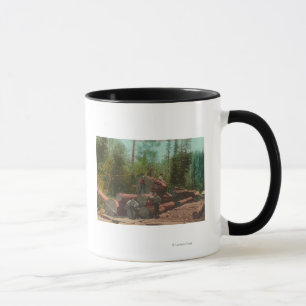 Mug Vue des bûcherons, SceneSterling de notation, CA