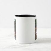 Mug Vue des chutes Bash-Bish près de Great Barrington (Centre)