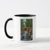 Mug Vue des chutes et du pont de la rivière Ausable (Gauche)
