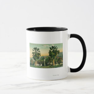 Mug Vue des ressorts jumeaux de PalmsParaiso, CA