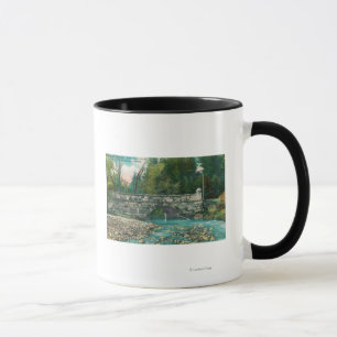 Mug Vue du comté de Napa BridgeNapa, CA