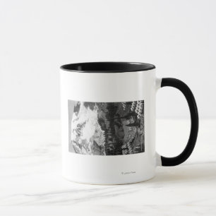 Mug Vue du Paradise Camp et du Mont Rainier