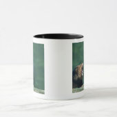 Mug Vue d'un lion (Panthera Lion) ouvrant sa bouche (Centre)