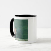 Mug Vue d'un lion (Panthera Lion) ouvrant sa bouche (Devant gauche)