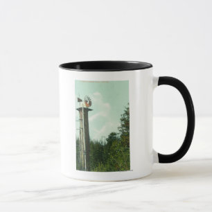 Mug Vue d'un vent MillEureka, CA de séquoia