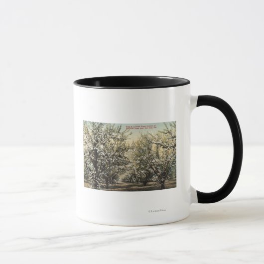 Mug Vue d'un verger de prune de 300 000 arbres (Droite)